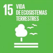 ODS-Agenda-2030-Objetivo15