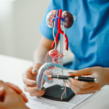 Conocimientos Teóricos