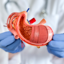 ecnología en procedimientos gastroenterológicos udla