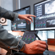 Especialización en colorización