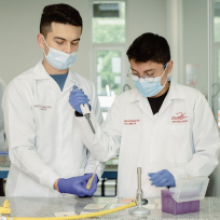 trabajo-evaluacion-de-alimentos-trabajos-de-planta