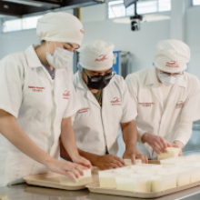 trabajo-colaborativo-mantenimiento-y-elaboracion-de-productos