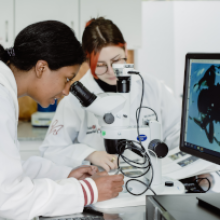 Evaluación de Impacto Ambiental