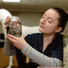 medicina veterinaria udla estudiante laboratorio