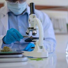 diplomado-internacional-uso-terapeutico-del-cannabis-estudiar-y-analizar