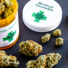 diplomado-internacional-uso-terapeutico-del-cannabis-medicinal-consulta-cannabica