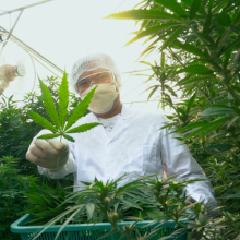 aprender-los-procesos-generales-agricolas