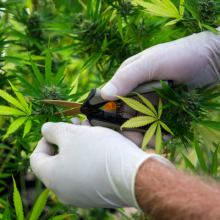 planificar-las-condiciones-y-adecuacion