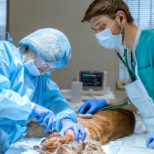 procedimientos-quirúrgicos-especializados