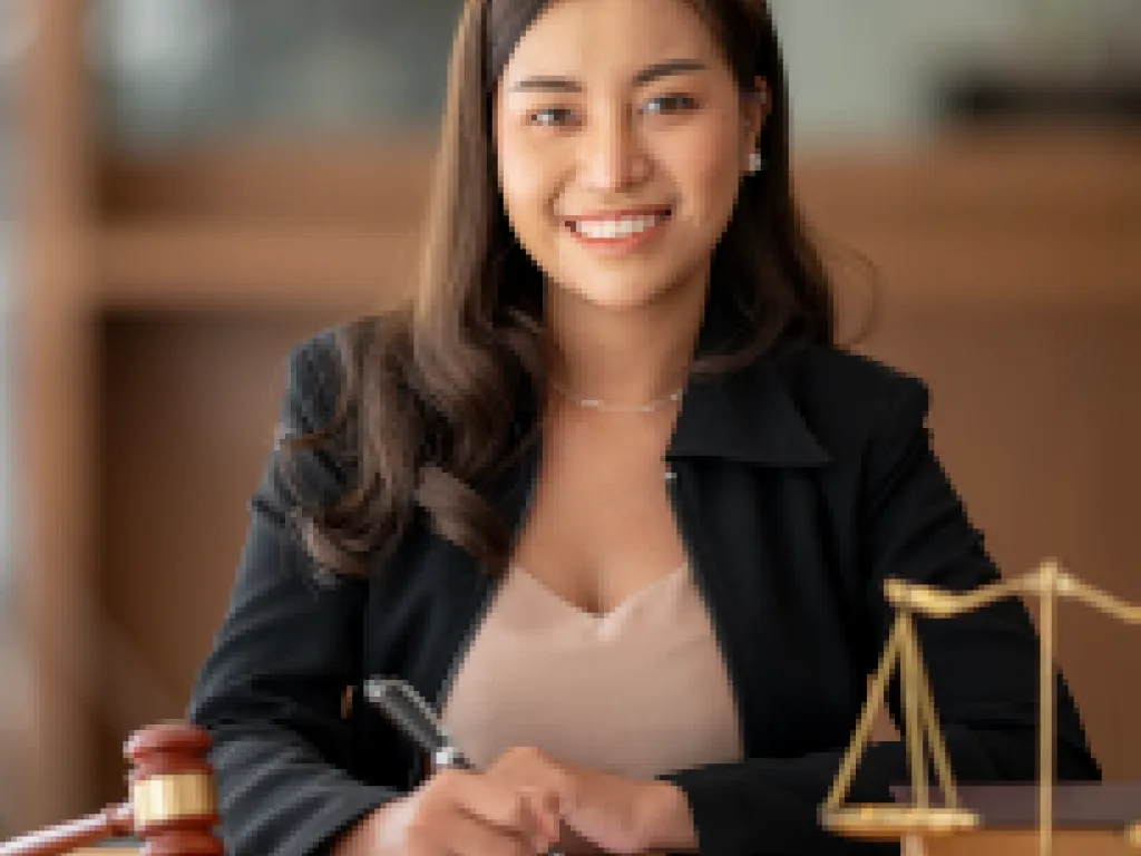 maestria en derecho procesal constitucional litigacion constitucional