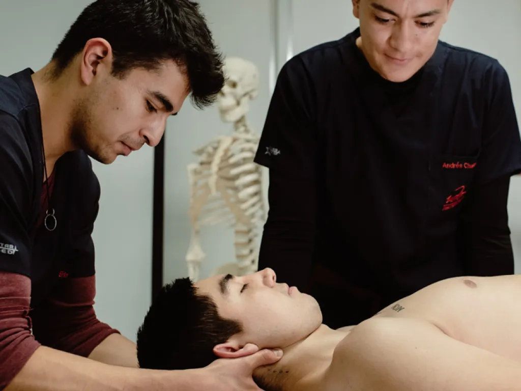 Rehabilitación udla