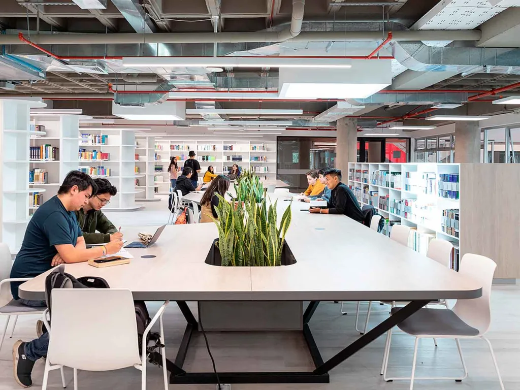 udlapark_biblioteca_alumnos