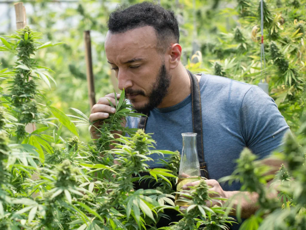 edco-especializacion-tecnica-en-siembra