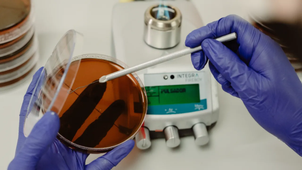 Medicina-investigaciones-biomedicas-actualmente-en-desarrollo