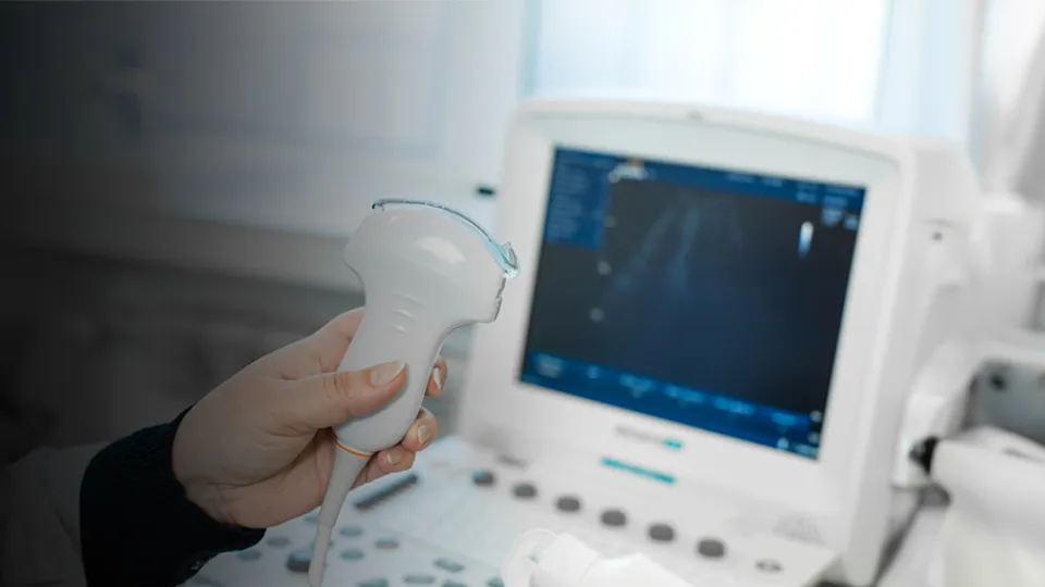 DIPLOMADO INTERNACIONAL EN ULTRASONOGRAFÍA CARDIOPULMONAR – POCUS