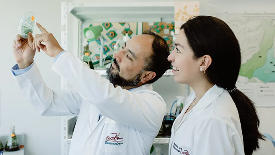 Facultad de Ingeniería y Ciencias Aplicadas UDLA