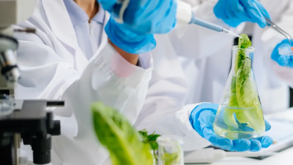 posgrado-maestria-en-desarrollo-e-innovacion-de-alimentos